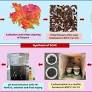 Efficient adsorptive removal of Congo Red dye using activated carbon derived from Spathodea campanulata flowers