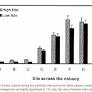 How do mangrove forests induce sedimentation?