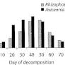 Microbial flora associated with submerged mangrove leaf litter in India