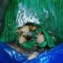 Swindon store with rat urine and gnawed packaging has to pay £30k