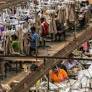 Sitting targets: negligence and occupational risk in Sri Lanka