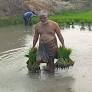 Agriculture Minister takes time off for farming