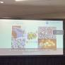 Deepa Thiagarajan Explores Foreign Material Concerns in Pet Food