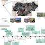 Grassland Bird Species Decline With Colonial-Era Landscape Change in a Tropical Montane Ecosystem