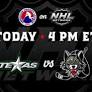 TheAHL.com