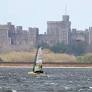 New WASZP Speed Record set at 31.0 knots