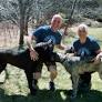 More lodge, less kennel: Cape Breton woman's dream close to launching with Island Dog Lodge