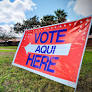 2026 PRIMARY: RGV election results for Democratic, Republican races