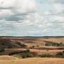 G.O.P. Plant? Democratic Ruse? Accusations Fly in Nebraska’s Senate Race