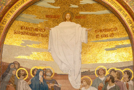 News from the Sanctuary - Sanctuaire Notre-Dame de Lourdes