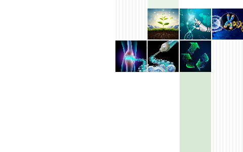 2025 Synthetic Biology: Engineering, Evolution, & Design (SEED ...