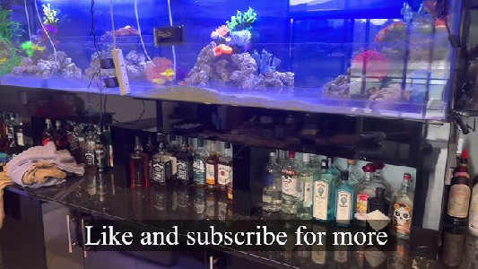 Setting up a reef aquarium for Cichlids - part 1 - YouTube