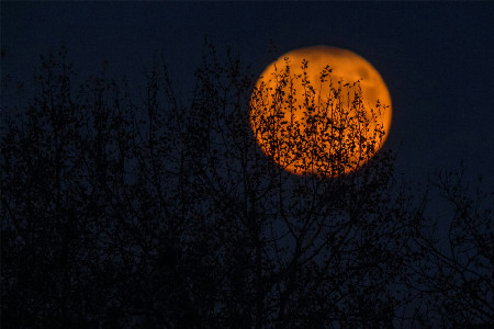 DON'T CELEBRATE HALLOWEEN! (Here We are Again) - TruthScript