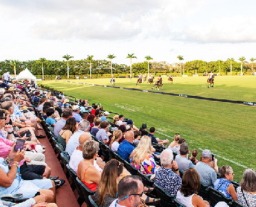 National Polo Center - Wellington