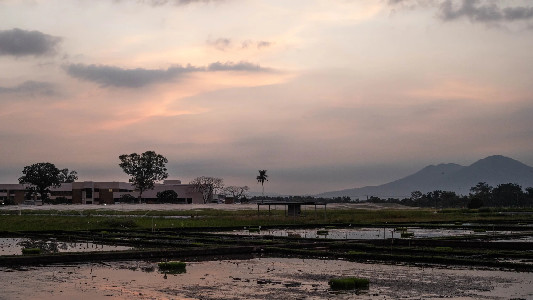 IRRI in Thailand | International Rice Research Institute