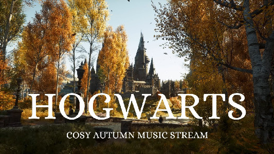 Harry Potter Music [LIVE 24/7] Cozy Hogwarts Radio | Muggleproof ...