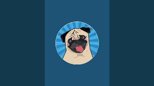 Dog rescue mission - YouTube