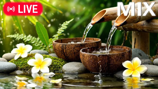 Peaceful Piano for Study, Meditation & Spa | Calming Music to ...