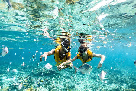 2025 With Turtles, Shipwreck, Cenote, and Reef and Transport ...