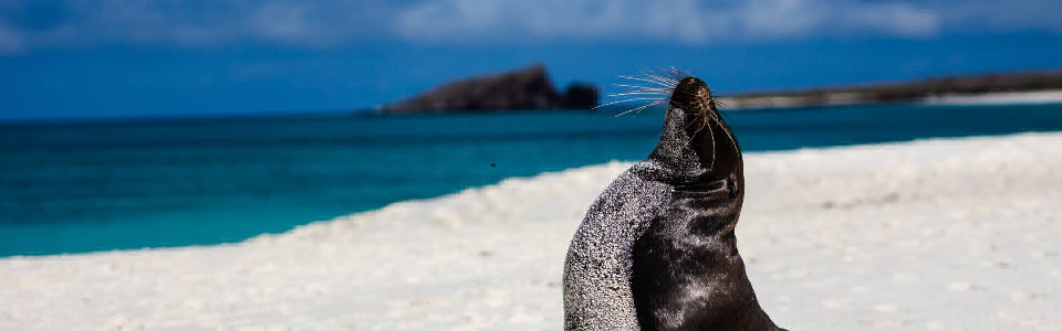 Jaw-Dropping Top Travel Deals For Fall: Up To 50% OFF!