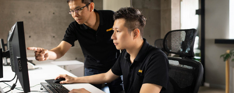 Customized Service Consulting Services - ANKO