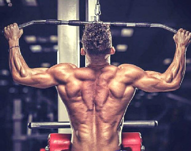 HOT ! Andrei Deiu Back Workout Workout Plan Andrei Deiu Abs ...