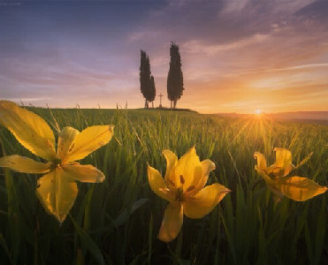 2025 Daniel Kordan Photography tours and workshops – Daniel ...