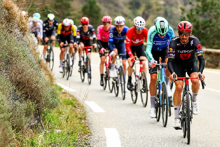 Julian Alaphilippe | Riders