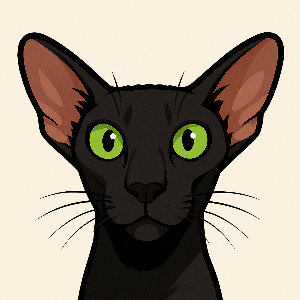 Rexton Oriental Cat