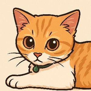 cimorry cat