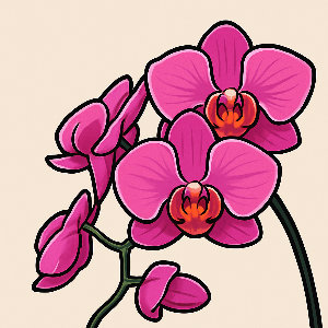 All About Orchids
