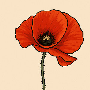 Poppy